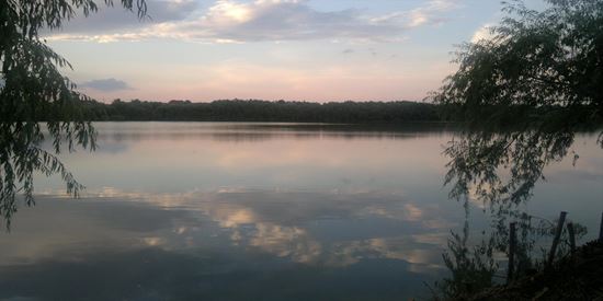 Balta Delta Gruiului